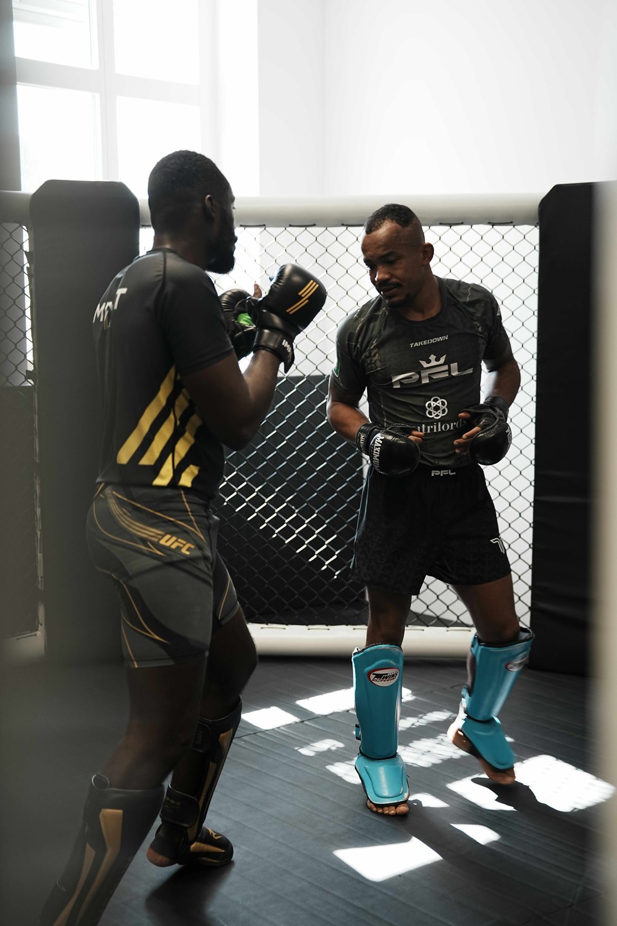 MMA bei IMPACT Winterthur
